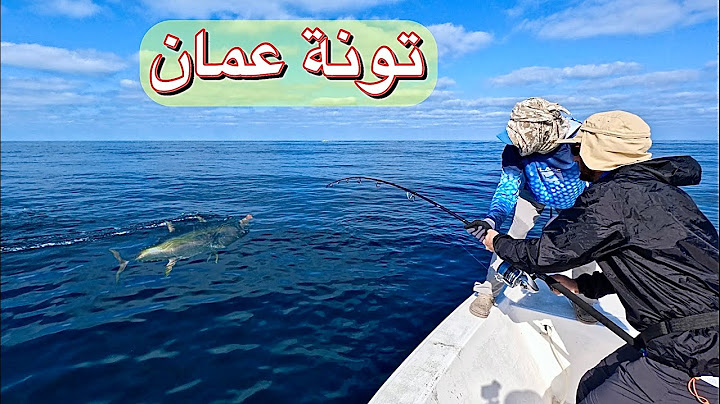 Yellowfin Tuna Fishing in the Sea of ​​Oman (Part One)