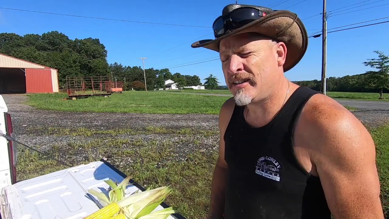 Yield Check On Corn Youtube