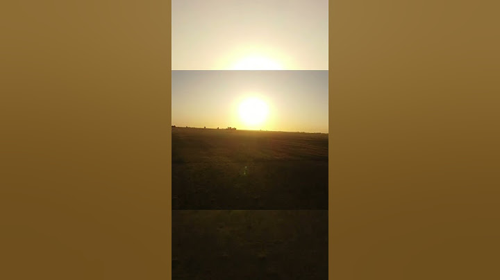 CAMPO ARGENTINO PAPÁ🌅 #argentina #like #share #viral #youtube #youtubeshorts #ytshorts