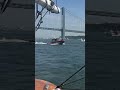Jet skier breaches Sail4th 250 zone as Coast Guard chases #shorts
