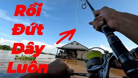 Câu Cá Vồ Đém Mùa Nước Nổi #14 || Ngày Nắng Đẹp Cá Ăn Mạnh .