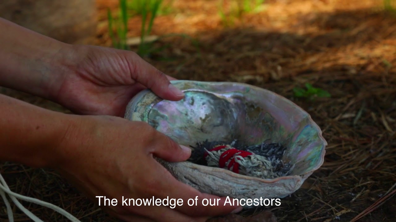 Sacred Way Sanctuary YouTube