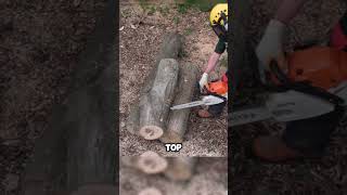 How to Prevent Chainsaw Kickback! #facts #chainsaw