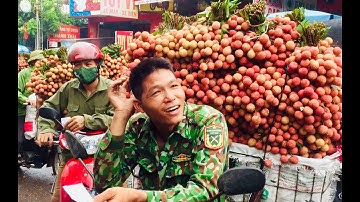 Cập nhật giá vải thiều sáng 25/6/2020 | bán vải thiều tết đoan ngọ | bản sắc miền núi