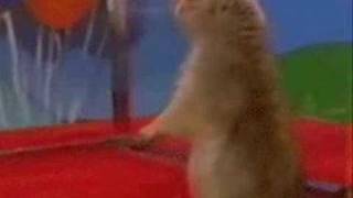 God Reveals Himself to an Atheist Chipmunk !!