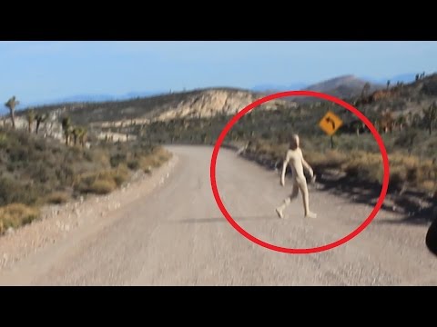 Area 51 Alien Sighting 2016