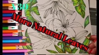 Famous V30 How To Adult Color A More Natural  Looking Leaf Wealth
