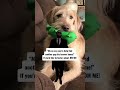 Slumber Pawties | TikTok Reels