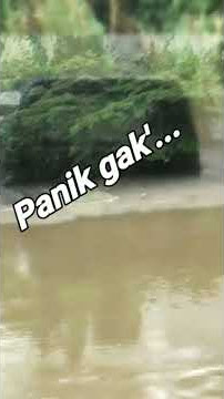 Paniklah Masak nggak!!!....#shorts