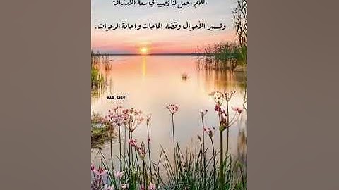 سورة يس بصوت القارئ:سالم الرويلي مقاطع انستا حالات واتس 🍂☁️.....