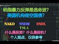 美股财经|纳指暴力反弹是逃命波？NNDM,SNDL,NAKD,TSLA,什么是投资？什么是投机？