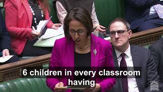 Children's Wellbeing and Schools Bill (Part 5 - Mental Health Professionals)