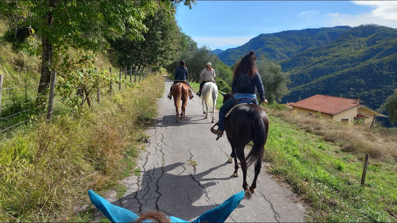 COMANO CAVALLI 2024 - Trekking, amici e tanto divertimento
