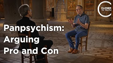 Philip Goff - Panpsychisme: argumentatie voor en tegen