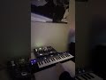 10 second jam #synth #synthesizer #electronicmusic #jam #cobalt5s #music #sounddesign
