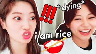 dahyun becomes rice with tzuyu's *intense* chinese lessons