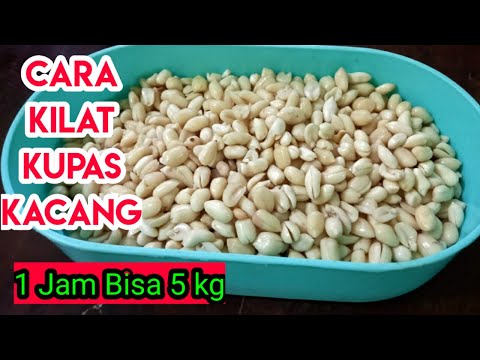 Video: Bagaimana Kacang Kacang dibuat