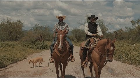 Bishop & UglyDrae - Guapo (Official Music Video)