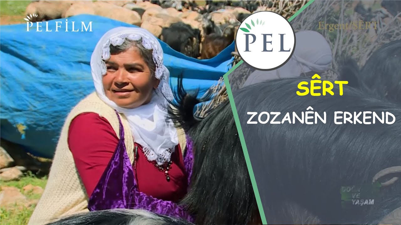 SÊRT /  ZOZANÊN ERKEND