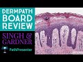 Dermpath Board Review 100 Classic Cases