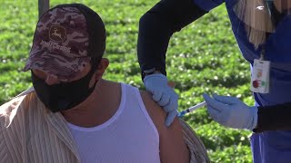 Santa Barbara County Builds Up Immunity