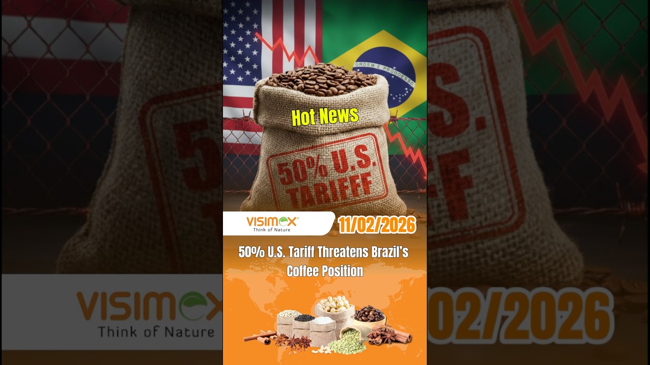 Hot News: 50% U.S. Tariff Threatens Brazil’s Coffee Position
