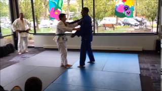 Judo Nage Waza Demonstration at the 2015 Asian-Fest Resimi