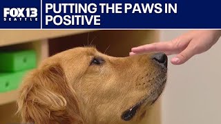 Seattle Children's new hire puts the paws in positive | FOX 13 Seattle