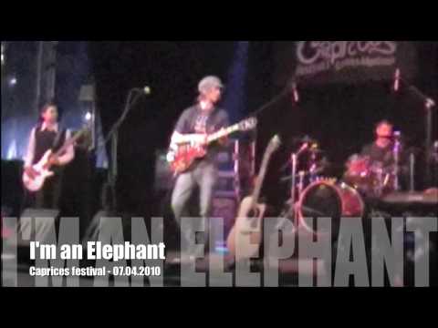 I'm an Elephant - Caprices festival 2010