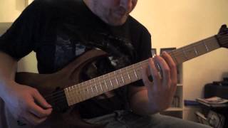 Immolate skinned guitar play-through (Ran guitars Crusher)