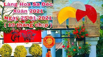 Làng hoa sa đéc xuân 2021 toàn cảnh trong những ngày đón xuân | Khương Nhựt Minh