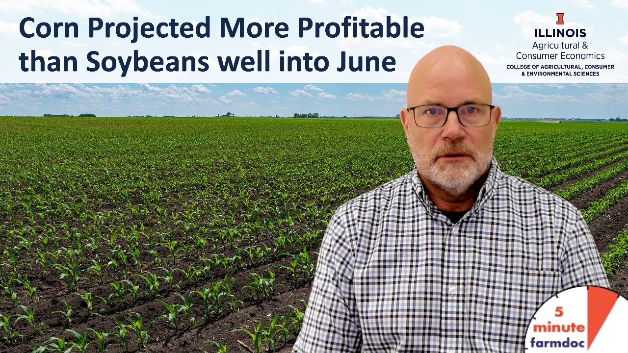 Corn Projected More Profitable than Soybeans Well into June