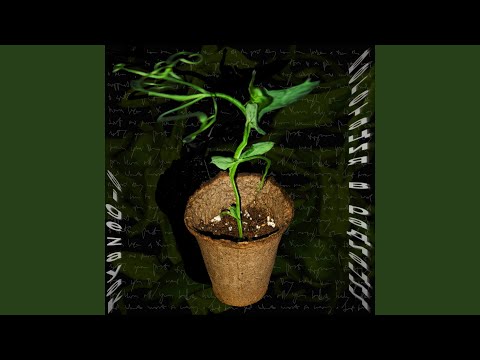 Ver сёстры, братья и любовь (кровь плотнее воды) no YouTube