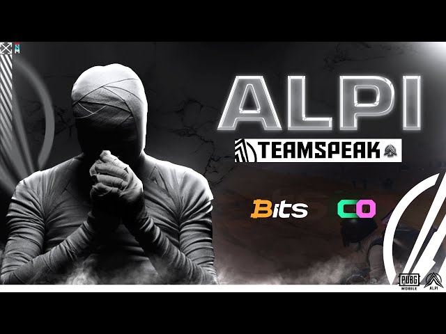 TEAM ALPI TEAMSPEAK  | | 19 KILL WWCD  | |  MAP MIRAMAR ... class=