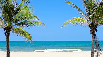 Tropical Beach with Ocean Sounds, Palm Trees and Natural Landscape for Sleep & Relax