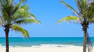 Tropical Beach with Ocean Sounds, Palm Trees and Natural Landscape for Sleep & Relax screenshot 5