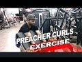 Preacher Curls Exercise ( Hindi/English )