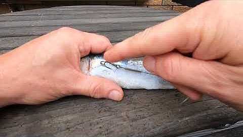 Pike &  Predator Wire Trace - Pete explains his unique titanium wire trace for pike angling.