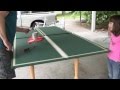 Ping Pong Table