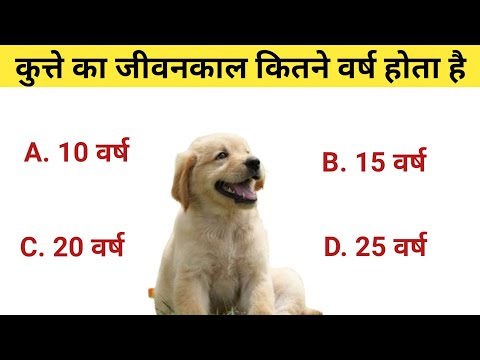 वीडियो: कुत्ते का जीवनकाल कितना होता है?