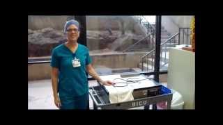 Cleaning the Splint Cart