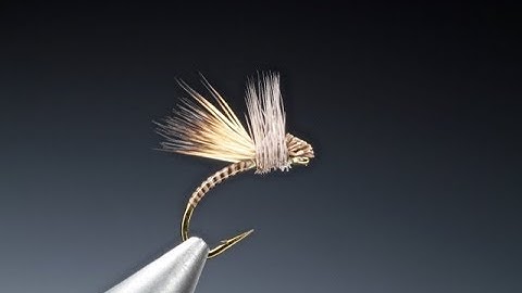 Tying a Deer hair hatching midge with Barry Ord Clarke