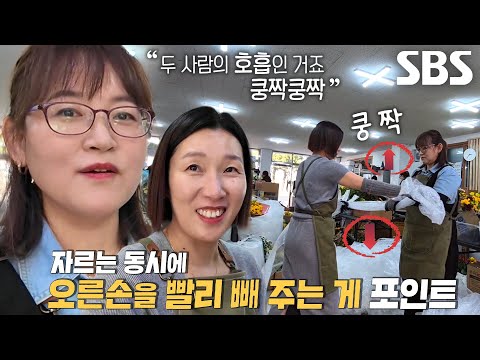 2인 1조 꽃 포장 달인이 공개하는 포장 비법★ (ft. 쿵짝쿵짝 호흡)