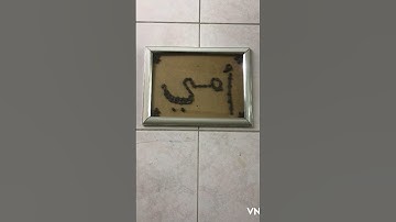 رحم الله من قرأ سورة الفاتحة