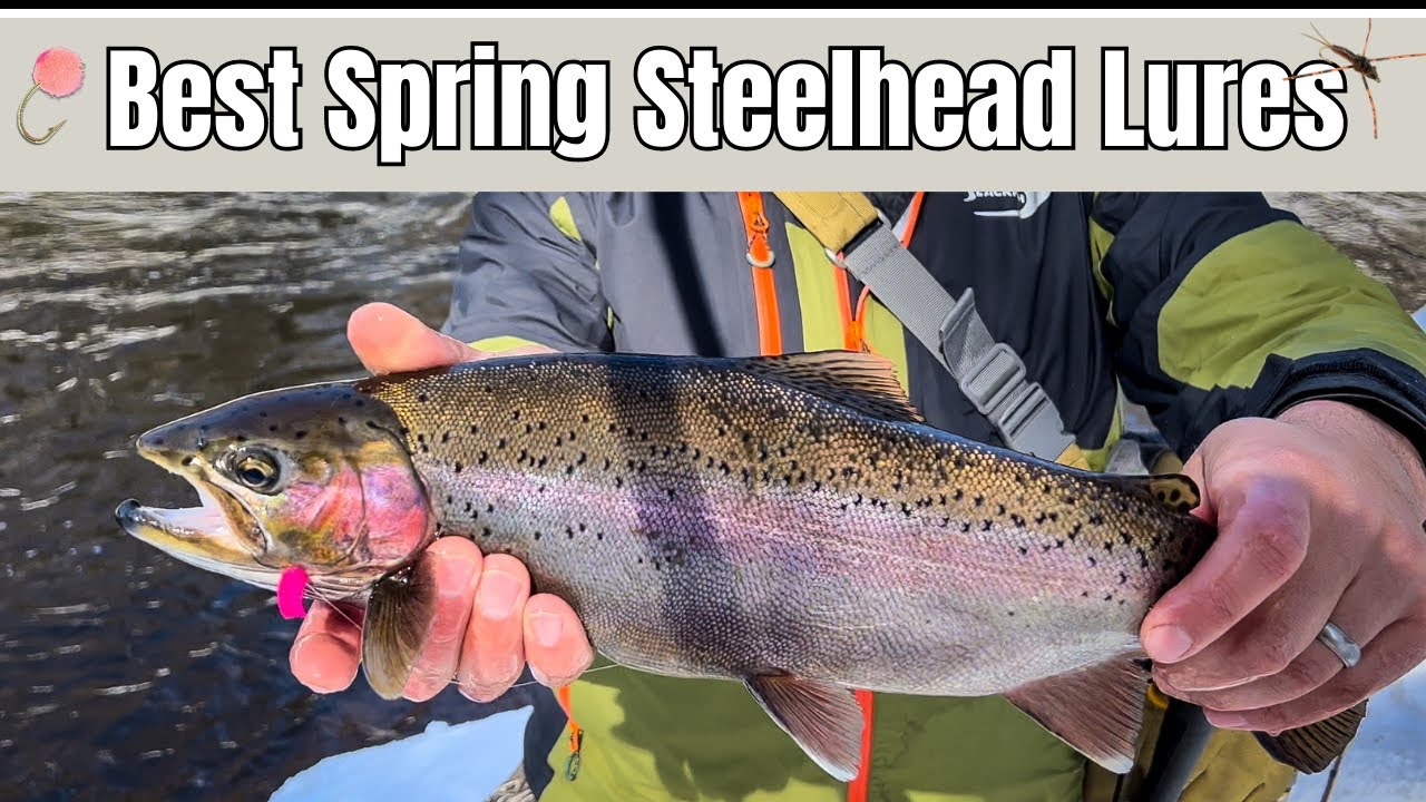 6 Go-To Presentations For Steelhead on the Brule River (In ALL