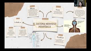 Video explicación mapas conceptuales Psicobiología Video explicación mapas conceptuales Psicobiología