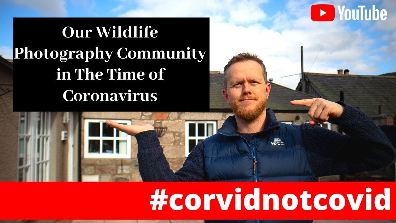 Bird Photography | Corona Virus | Your Photos in next week's YouTube Video!