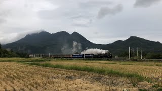 台鐵4666次DT668牽引[仲夏寶島號]&4534次EMU500型區間車雙單通過(山里南)