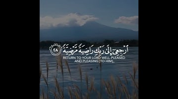 تلاوة من سورة الفجر القارئ خالد الجليل