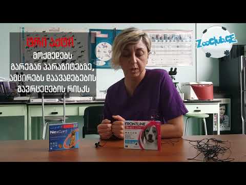 დაიცავი შენი შინაური ცხოველი პარაზიტებისგან!